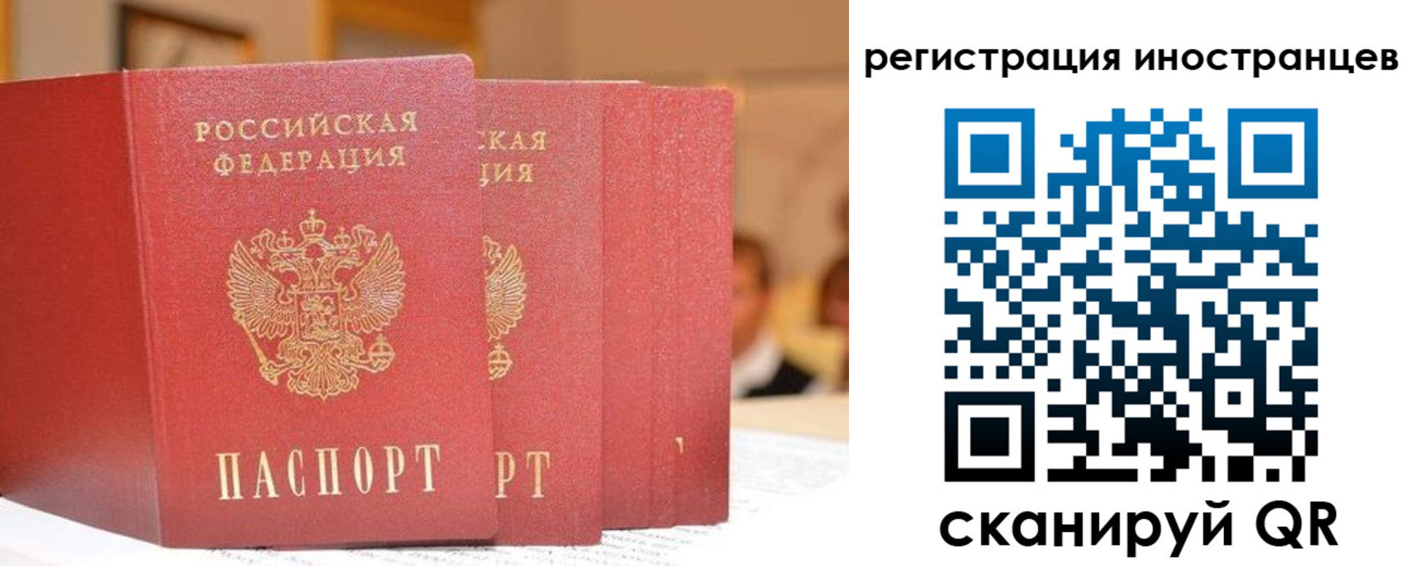 где прописаться в Щучье